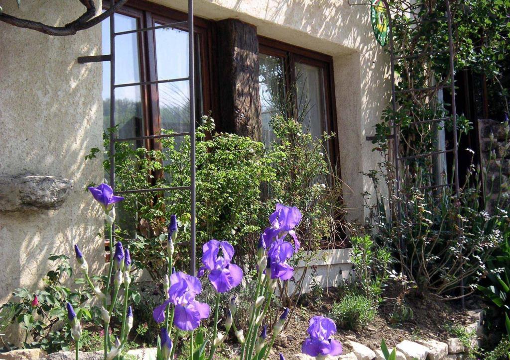 Le Verger Sous Les Vignes Hotel Villeferry Exterior photo